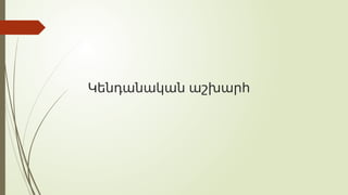 Կենդանական աշխարհ
 