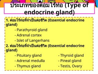 1. ต่อมไร้ท่อที่จำเป็นต่อชีวิต (Essential endocrine
gland)
- Parathyroid gland
- Adrenal cortex
- Islet of Langerhans
2. ต่อมไร้ท่อที่จำเป็นต่อชีวิต (Essential endocrine
gland)
- Pituitary gland - Thyroid gland
- Adrenal medulla - Pineal gland
- Thymus gland - Testis, Ovary
ประเภทของต่อมไร้ท่อ (Type of
endocrine gland)
 