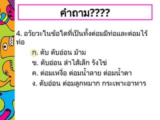 คำถาม????
4. อวัยวะในข้อใดที่เป็นทั้งต่อมมีท่อและต่อมไร้
ท่อ
ก. ตับ ตับอ่อน ม้าม
ข. ตับอ่อน ลำไส้เล็ก รังไข่
ค. ต่อมเหงื่อ ต่อมน้ำลาย ต่อมน้ำตา
ง. ตับอ่อน ต่อมลูกหมาก กระเพาะอาหาร
 