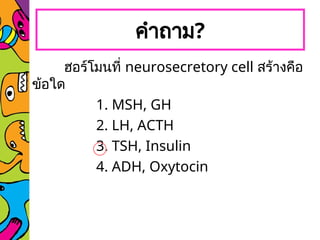 คำถาม?
ฮอร์โมนที่ neurosecretory cell สร้างคือ
ข้อใด
1. MSH, GH
2. LH, ACTH
3. TSH, Insulin
4. ADH, Oxytocin
 