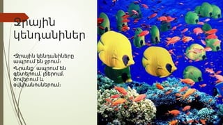 Ջրային
կենդանիներ
•Ջրային կենդանիները
ապրում են ջրում։
•Նրանք ապրում են
, ,
գետերում լճերում
ծովերում և
օվկիանոսներում։
 