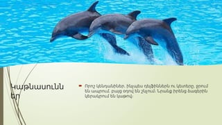 Կաթնասունն
եր
 , ,
Որոշ կենդանիներ ինչպես դելֆիններն ու կետերը ջրում
,
են ապրում բայց օդով են շնչում։ Նրանք իրենց ձագերին
կերակրում են կաթով։
 