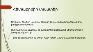 ,
Ծովային ձկները ապրում են աղի ջրում իսկ գետային ձկները՝
քաղցրահամ ջրում։
Օվկիանոսում ապրում են աշխարհի ամենամեծ կենդանիները՝
կապույտ կետերը։
Որոշ ձկներ կարող են լողալ շատ խորը և դիմանալ մեծ ճնշմանը։
Հետաքրքիր փաստեր
 