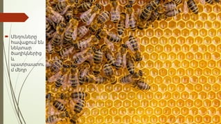  Մեղուները
հավաքում են
նեկտար
ծաղիկներից
և
պատրաստու
մ մեղր
 