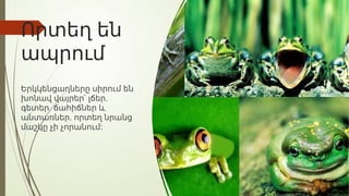 Որտեղ են
ապրում
Երկկենցաղները սիրում են
,
խոնավ վայրեր՝ լճեր
,
գետեր ճահիճներ և
,
անտառներ որտեղ նրանց
:
մաշկը չի չորանում
 