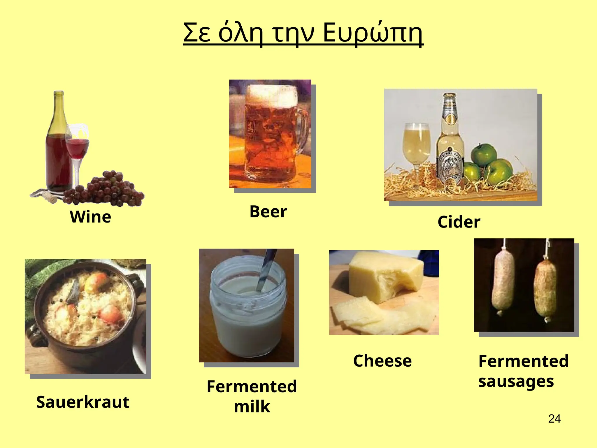 24
Wine Beer
Cider
Sauerkraut
Fermented
milk
Cheese Fermented
sausages
Σε όλη την Ευρώπη
 
