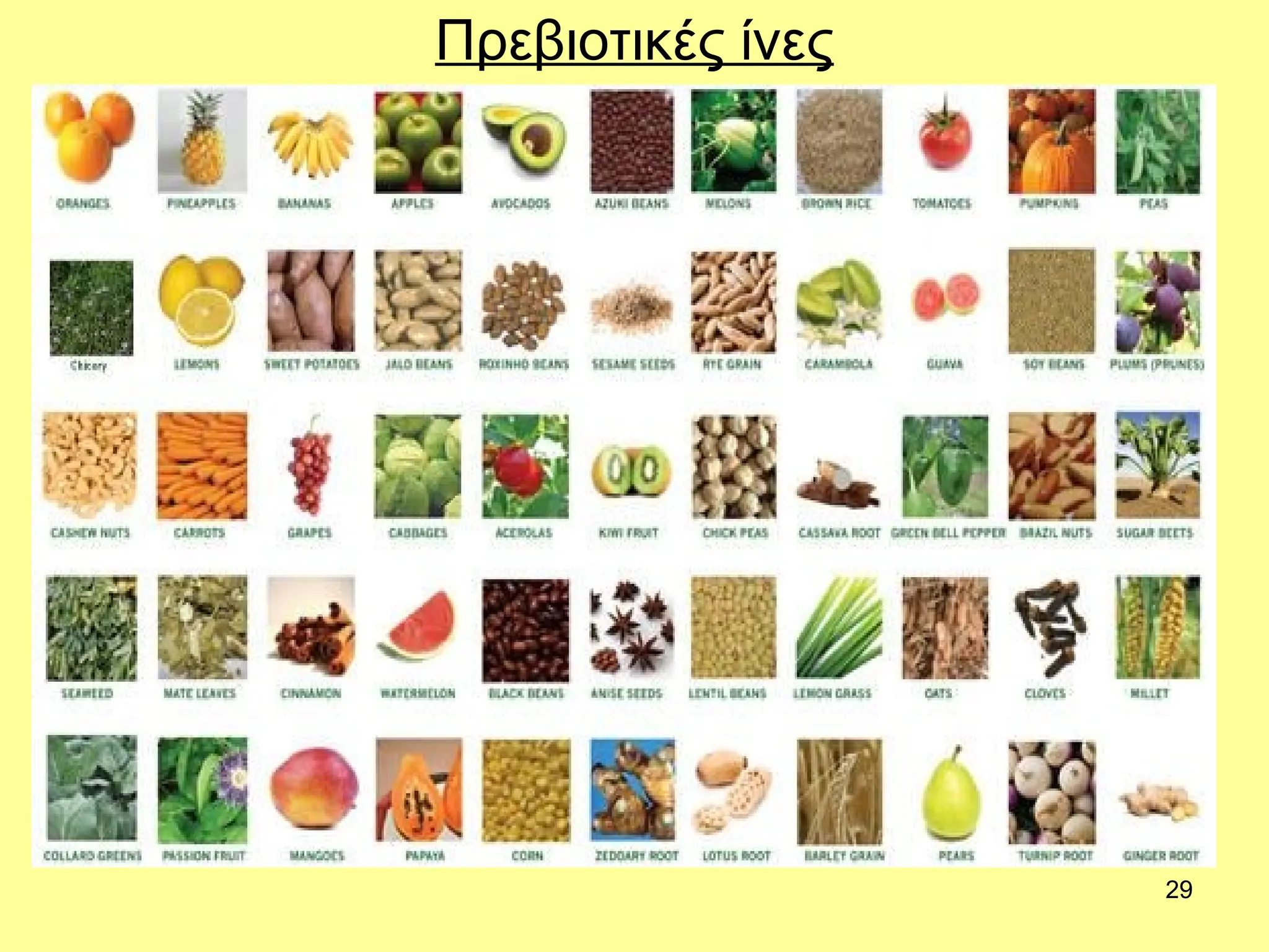 29
Πρεβιοτικές ίνες
 