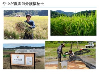 やつだ農園＠介護福祉士
 
