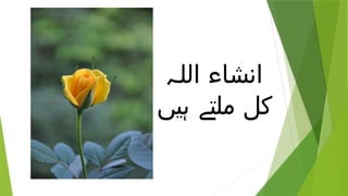 ‫اللہ‬ ‫انشاء‬
‫ہیں‬ ‫ملتے‬ ‫کل‬
 