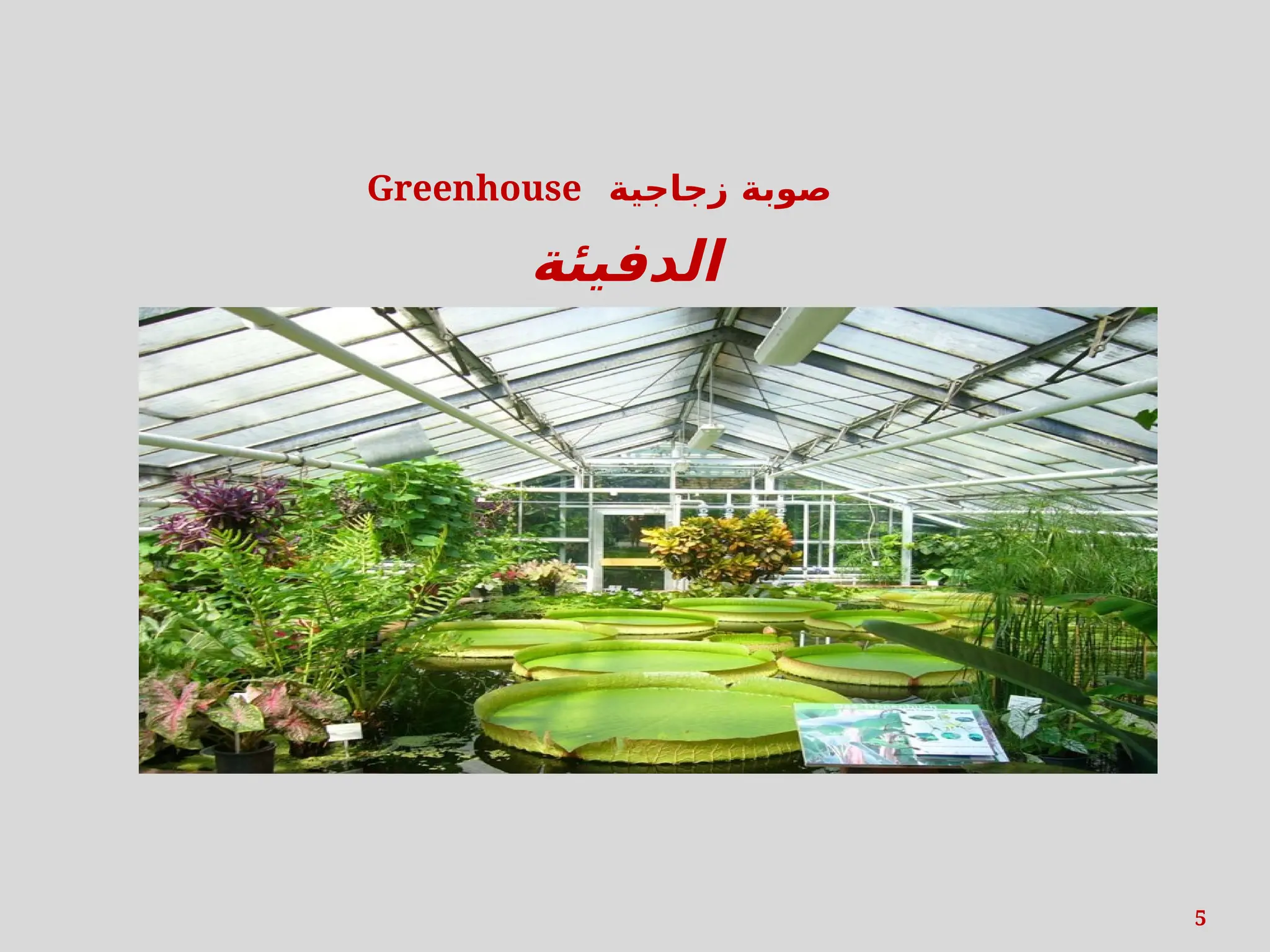 5
Greenhouse ‫زجاجية‬ ‫صوبة‬
‫الدفيئة‬
 