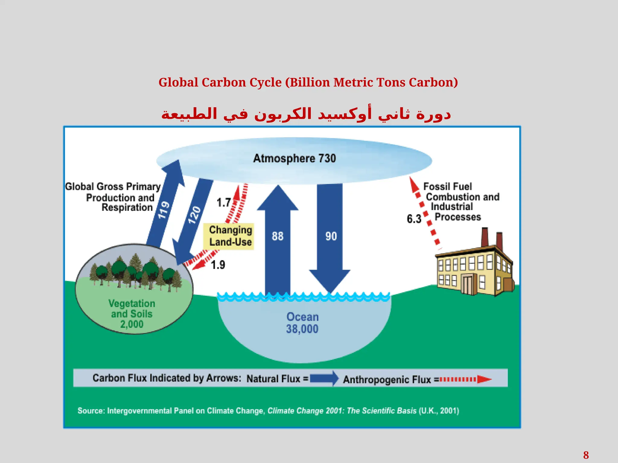 8
Global Carbon Cycle (Billion Metric Tons Carbon)
‫الطبيعة‬ ‫في‬ ‫الكربون‬ ‫أوكسيد‬ ‫ثاني‬ ‫دورة‬
 