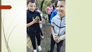 Амбијентална настава - Вождовци и родитељи у акцији