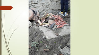 Амбијентална настава - Вождовци и родитељи у акцији