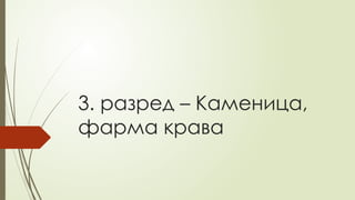 3. разред – Каменица,
фарма крава
 