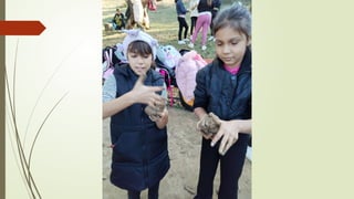 Амбијентална настава - Вождовци и родитељи у акцији