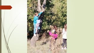 Амбијентална настава - Вождовци и родитељи у акцији