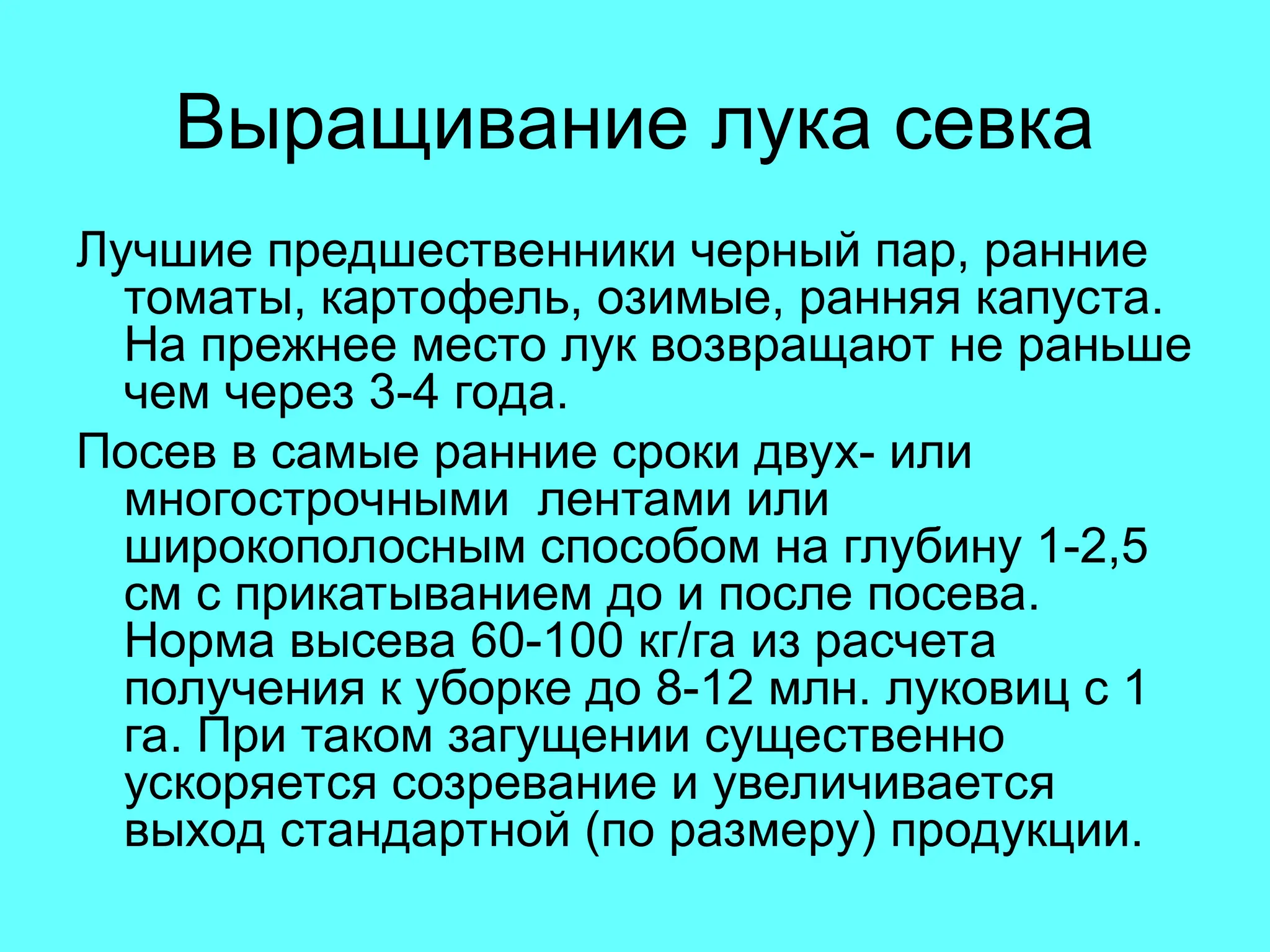 Выращивание лука севка
Лучшие предшественники черный пар, ранние
томаты, картофель, озимые, ранняя капуста.
На прежнее место лук возвращают не раньше
чем через 3-4 года.
Посев в самые ранние сроки двух- или
многострочными лентами или
широкополосным способом на глубину 1-2,5
см с прикатыванием до и после посева.
Норма высева 60-100 кг/га из расчета
получения к уборке до 8-12 млн. луковиц с 1
га. При таком загущении существенно
ускоряется созревание и увеличивается
выход стандартной (по размеру) продукции.
 