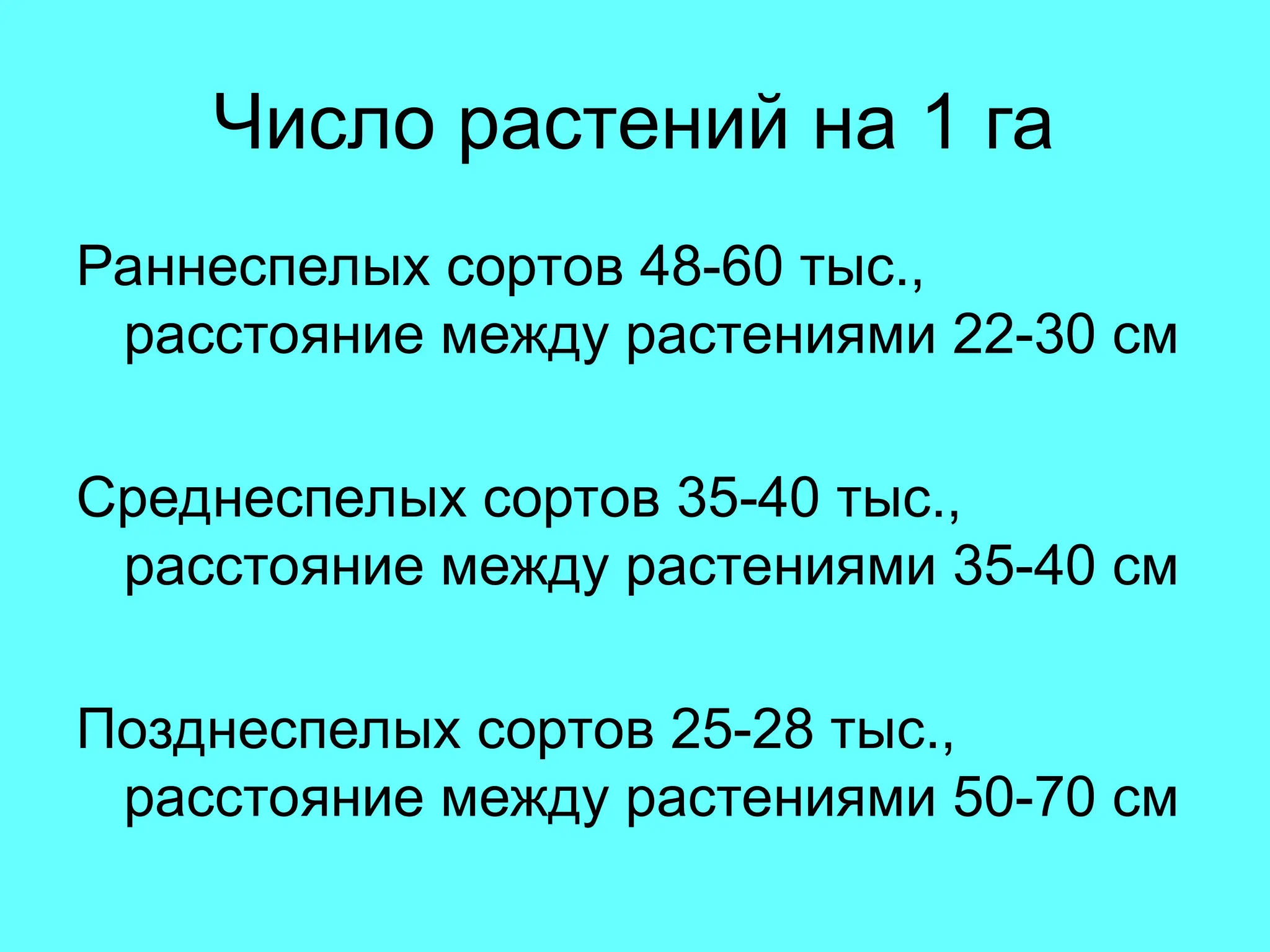 Число растений на 1 га
Раннеспелых сортов 48-60 тыс.,
расстояние между растениями 22-30 см
Среднеспелых сортов 35-40 тыс.,
расстояние между растениями 35-40 см
Позднеспелых сортов 25-28 тыс.,
расстояние между растениями 50-70 см
 