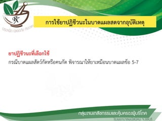 การใช้ยาปฏิชีวนะในบาดแผลสดจากอุบัติเหตุ
ยาปฏิชีวนะที่เลือกใช้
กรณีบาดแผลสัตว์กัดหรือคนกัด พิจารณาให้ยาเหมือนบาดแผลข้อ 5-7
 
