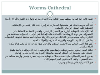 Worms Cathedral

‫األربعة‬ ‫واألبراج‬ ‫القبة‬ ‫ذات‬ ‫جوقاتها‬ ‫مع‬ ،‫الخارج‬ ‫من‬ ‫للغاية‬ ‫مميز‬ ‫بمظهر‬ ‫فورمز‬ ‫كاتدرائية‬ ‫تتميز‬
.

:
‫اإلضافات‬ ‫من‬ ‫فقط‬ ‫قليل‬ ‫عدد‬ ‫إجراء‬ ‫تم‬ ‫المعمارية‬ ‫هندستها‬ ‫في‬ ‫ا‬ً‫م‬‫تما‬ ‫موحدة‬ ‫أنها‬ ‫كما‬
.‫األصلي‬ ‫الروماني‬ ‫الهيكل‬ ‫على‬ ‫القوطية‬

‫على‬ ‫الحفاظ‬ ‫تم‬ ‫الحظ‬ ‫ولحسن‬ ،‫الرئيسي‬ ‫المدخل‬ ‫هو‬ ‫البارزة‬ ‫القوطية‬ ‫اإلضافات‬ ‫أحد‬
‫من‬ ‫مستقيمة‬ ‫الجدران‬ ،‫الداخل‬ ‫في‬ ‫الحائط‬ ‫على‬ ‫السابقة‬ ‫الرومانيسك‬ ‫بوابة‬ ‫من‬ ‫المنحوتات‬
. .
‫الشيطان‬ ‫لتخويف‬ ‫مخيفة‬ ‫أسد‬ ‫بتماثيل‬ ‫األروقة‬ ‫تزيين‬ ‫تم‬ ‫الداخل‬ ‫من‬ ‫مستديرة‬ ‫ولكنها‬ ‫الخارج‬

.‫الغنية‬ ‫والقوالب‬ ‫المتعرجة‬ ‫واألروقة‬ ‫الوردية‬ ‫النوافذ‬ ‫ذلك‬ ‫في‬ ‫بما‬

‫مكان‬ ‫هناك‬ ‫يكن‬ ‫لم‬ ‫أنه‬ ‫لدرجة‬ ‫ا‬ً‫كبير‬ ‫والرخام‬ ‫المذهب‬ ‫الخشب‬ ‫من‬ ‫الفخم‬ ‫العمل‬ ‫هذا‬ ‫كان‬
.‫مناسب‬ ‫لجناح‬

‫ملونة‬ ‫زجاجية‬ ‫ونوافذ‬ ،‫عذراء‬ ‫شهداء‬ ‫لثالثة‬ ‫وتضاريس‬ ،‫قوطي‬ ‫بخط‬ ‫الجنوبي‬ ‫الممر‬ ‫قبالة‬
.‫رهبانية‬ ‫طعام‬ ‫قاعة‬ ‫مثل‬ ‫أعمدة‬ ‫بواسطة‬ ‫الوسط‬ ‫أسفل‬ ‫إلى‬ ‫مقسمة‬ ‫وهي‬ ،‫جديدة‬

‫من‬ ‫مشاهد‬ ‫وأربعة‬ ‫جيسي‬ ‫شجرة‬ ،‫متأخرة‬ ‫قوطية‬ ‫طبالت‬ ‫خمسة‬ ‫على‬ ‫الشمالي‬ ‫الممر‬ ‫يحتوي‬
. -
‫اآلن‬ ‫المهدم‬ ‫الدير‬ ‫تزين‬ ‫كانت‬ ‫والتي‬ ‫المسيح‬ ‫حياة‬

.‫وغريب‬ ‫ومظلم‬ ٍ‫قاس‬ ‫الكاتدرائية‬ ‫قبو‬
 