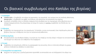 Οι βασικοί συμβολισμοί στο Καπλάνι της βιτρίνας:
1. Το Καπλάνι
● Γαλάζιο μάτι Συμβολίζει τον κόσμο της φαντασίας, της ανεμελιάς, των ονείρων και της παιδικής αθωότητας.
→
Μαύρο μάτι Συμβολίζει τον φόβο, τον κίνδυνο, την απειλή και την καταπίεση που έρχεται.
→
● Συνολικά, το Καπλάνι είναι το «δίπολο» ανάμεσα στην ελευθερία και τον περιορισμό, στην αθωότητα και τη
σκληρή πραγματικότητα. Θα μπορούσαμε να πούμε ότι κυρίως το καπλάνι συμβολίζει την Ελπίδα και την
αντίσταση.
2. Η βιτρίνα
● Συμβολίζει τον περιορισμό και την απομόνωση. Το Καπλάνι, αν και εντυπωσιακό, είναι παγιδευμένο μέσα στη
βιτρίνα, όπως και οι άνθρωποι που ζουν σε καταπιεστικά καθεστώτα.
3. Ο θείος Αιμίλιος
● Αντιπροσωπεύει την ελευθερία σκέψης, τη γνώση και την επαφή με τον έξω κόσμο. Η εξορία του αντικατοπτρίζει
τον διωγμό των ιδεών και των ανθρώπων που διαφέρουν.
4. Το νησί
● Συμβολίζει την απομόνωση, αλλά και τη μικρογραφία της κοινωνίας, όπου οι πολιτικές αλλαγές της χώρας
φτάνουν σταδιακά και αλλάζουν τις ζωές όλων.
5. Τα παιχνίδια των κοριτσιών
● Δείχνουν τον τρόπο που η παιδική φαντασία προσπαθεί να κατανοήσει και να επεξεργαστεί τον κόσμο των
 