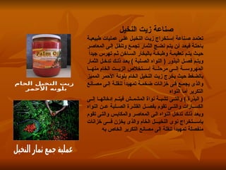 نخيل الزيت وأشجاره وأهميته وطرق زراعته .ppt