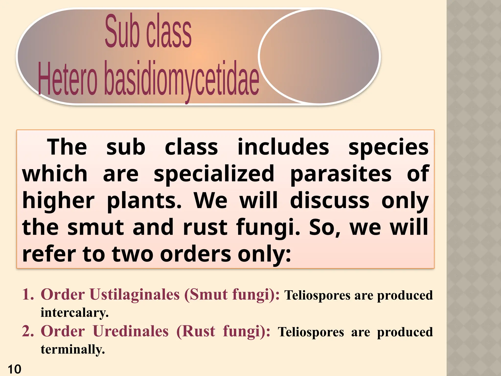 The sub class includes species
which are specialized parasites of
higher plants. We will discuss only
the smut and rust fungi. So, we will
refer to two orders only:
10
1. Order Ustilaginales (Smut fungi): Teliospores are produced
intercalary.
2. Order Uredinales (Rust fungi): Teliospores are produced
terminally.
 