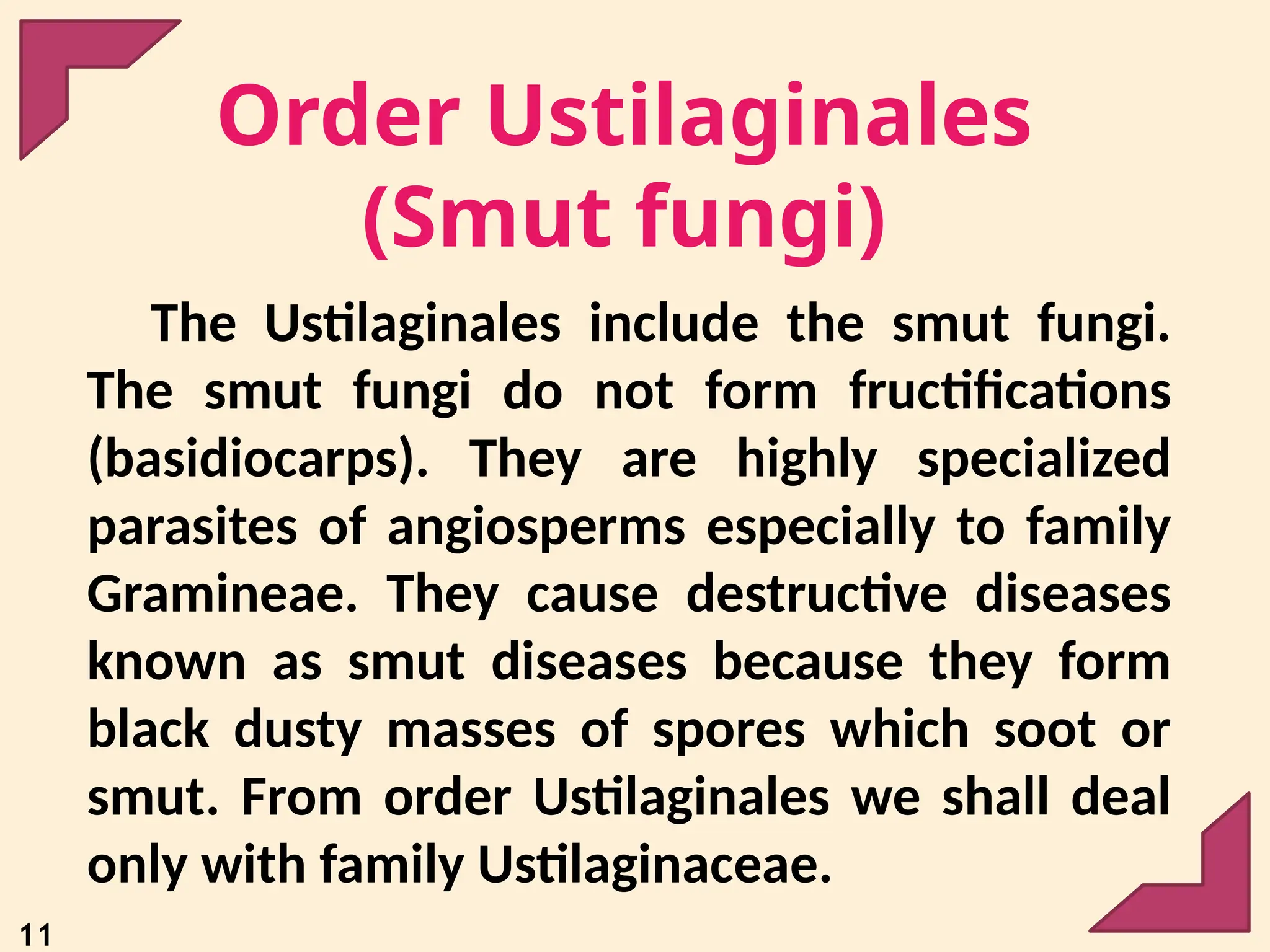 11
Order Ustilaginales
(Smut fungi)
The Ustilaginales include the smut fungi.
The smut fungi do not form fructifications
(basidiocarps). They are highly specialized
parasites of angiosperms especially to family
Gramineae. They cause destructive diseases
known as smut diseases because they form
black dusty masses of spores which soot or
smut. From order Ustilaginales we shall deal
only with family Ustilaginaceae.
 