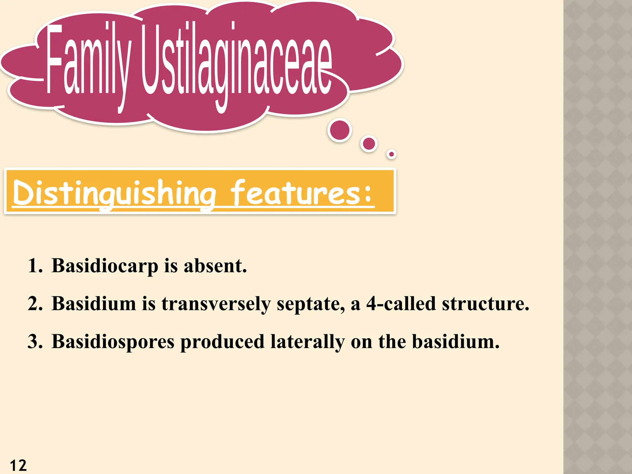 12
Distinguishing features:
1. Basidiocarp is absent.
2. Basidium is transversely septate, a 4-called structure.
3. Basidiospores produced laterally on the basidium.
 