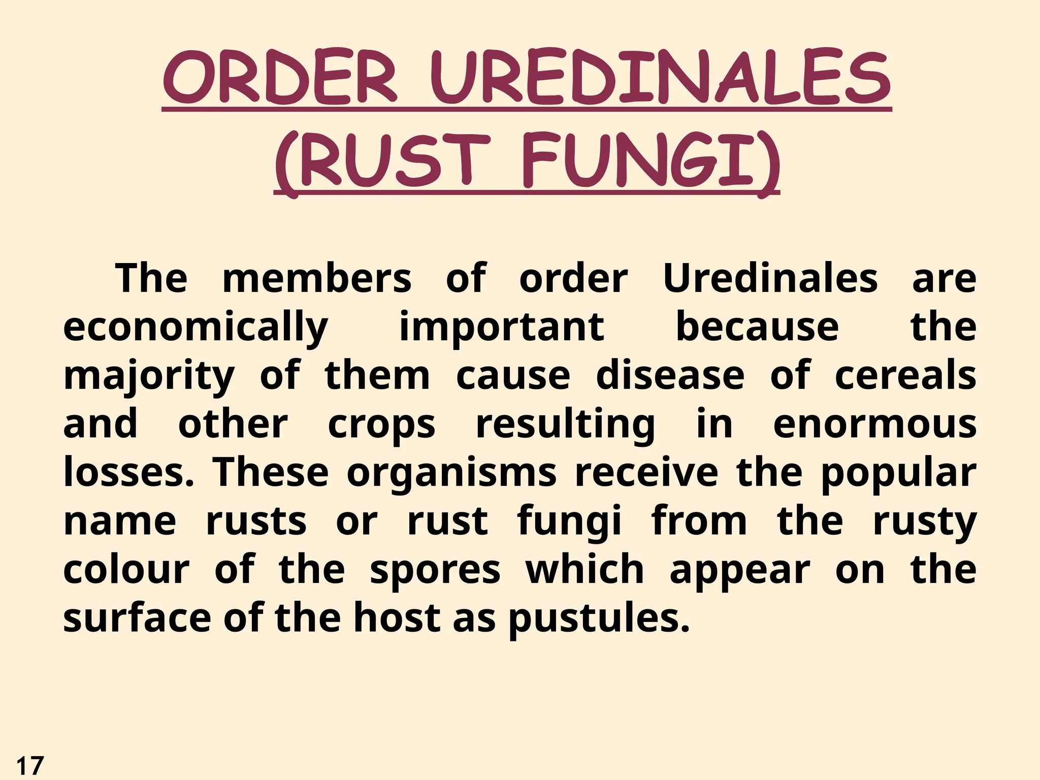 17
ORDER UREDINALES
(RUST FUNGI)
The members of order Uredinales are
economically important because the
majority of them cause disease of cereals
and other crops resulting in enormous
losses. These organisms receive the popular
name rusts or rust fungi from the rusty
colour of the spores which appear on the
surface of the host as pustules.
 