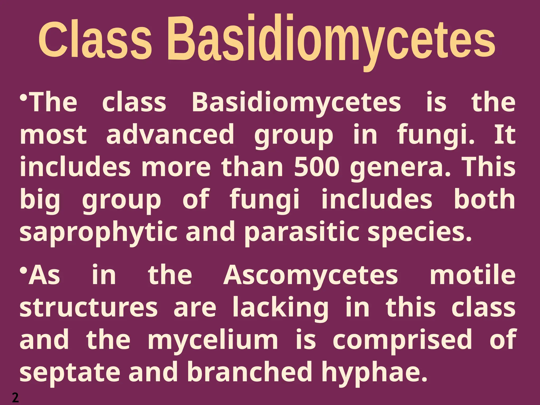 2
•The class Basidiomycetes is the
most advanced group in fungi. It
includes more than 500 genera. This
big group of fungi includes both
saprophytic and parasitic species.
•As in the Ascomycetes motile
structures are lacking in this class
and the mycelium is comprised of
septate and branched hyphae.
 