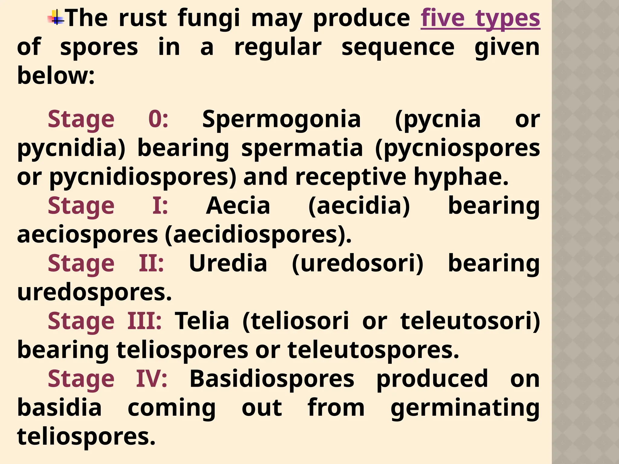 The rust fungi may produce five types
of spores in a regular sequence given
below:
Stage 0: Spermogonia (pycnia or
pycnidia) bearing spermatia (pycniospores
or pycnidiospores) and receptive hyphae.
Stage I: Aecia (aecidia) bearing
aeciospores (aecidiospores).
Stage II: Uredia (uredosori) bearing
uredospores.
Stage III: Telia (teliosori or teleutosori)
bearing teliospores or teleutospores.
Stage IV: Basidiospores produced on
basidia coming out from germinating
teliospores.
 