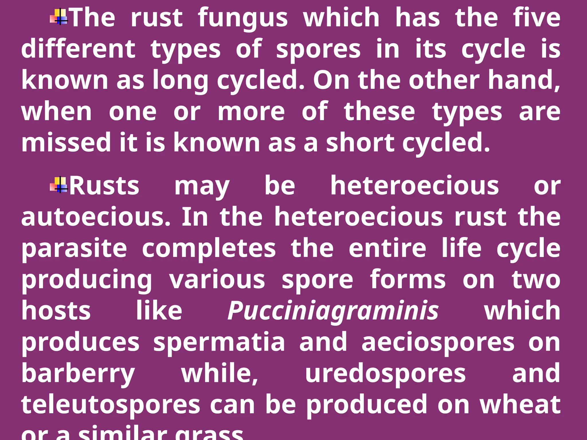 The rust fungus which has the five
different types of spores in its cycle is
known as long cycled. On the other hand,
when one or more of these types are
missed it is known as a short cycled.
Rusts may be heteroecious or
autoecious. In the heteroecious rust the
parasite completes the entire life cycle
producing various spore forms on two
hosts like Pucciniagraminis which
produces spermatia and aeciospores on
barberry while, uredospores and
teleutospores can be produced on wheat
 