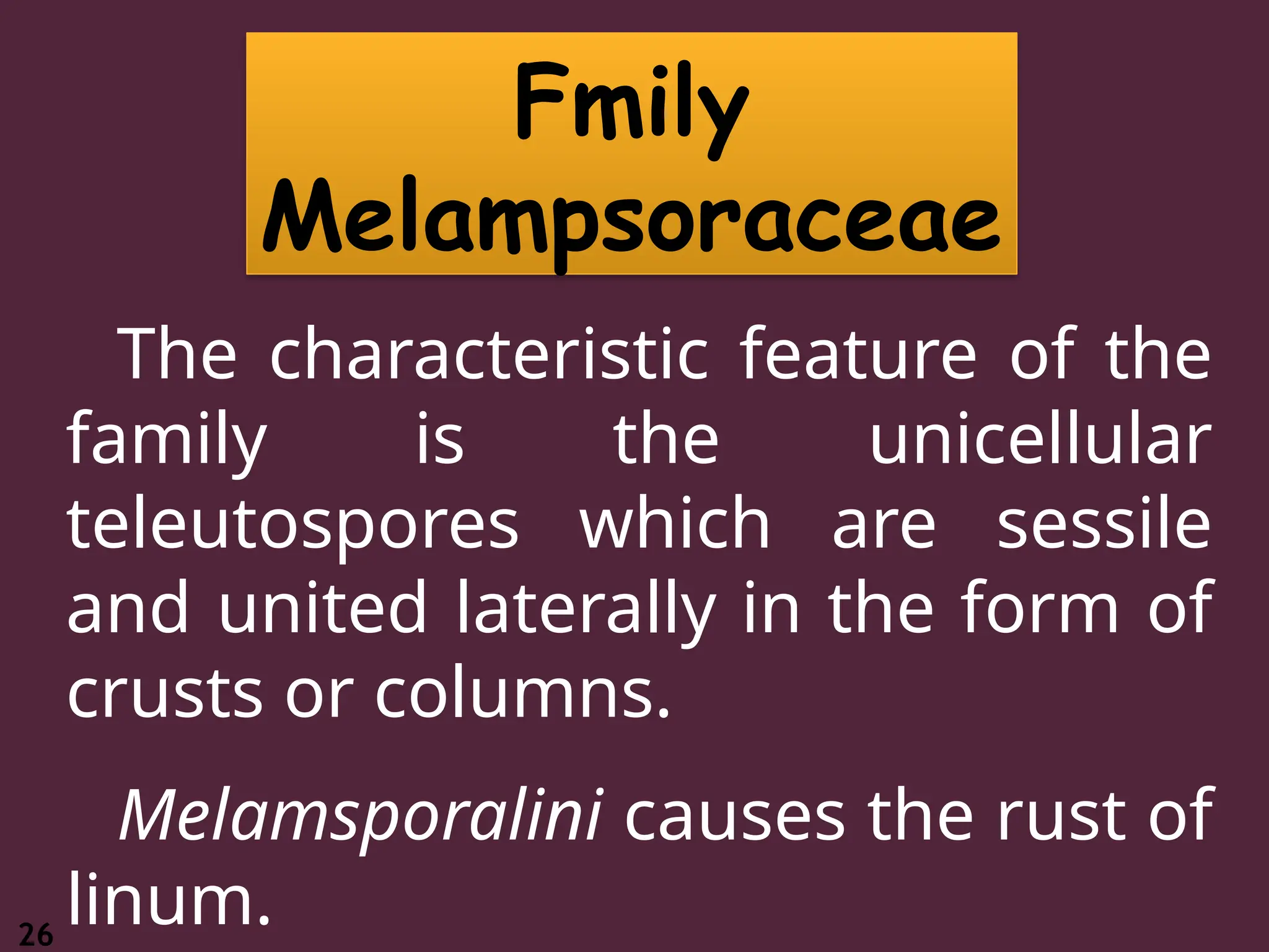 26
Fmily
Melampsoraceae
The characteristic feature of the
family is the unicellular
teleutospores which are sessile
and united laterally in the form of
crusts or columns.
Melamsporalini causes the rust of
linum.
 