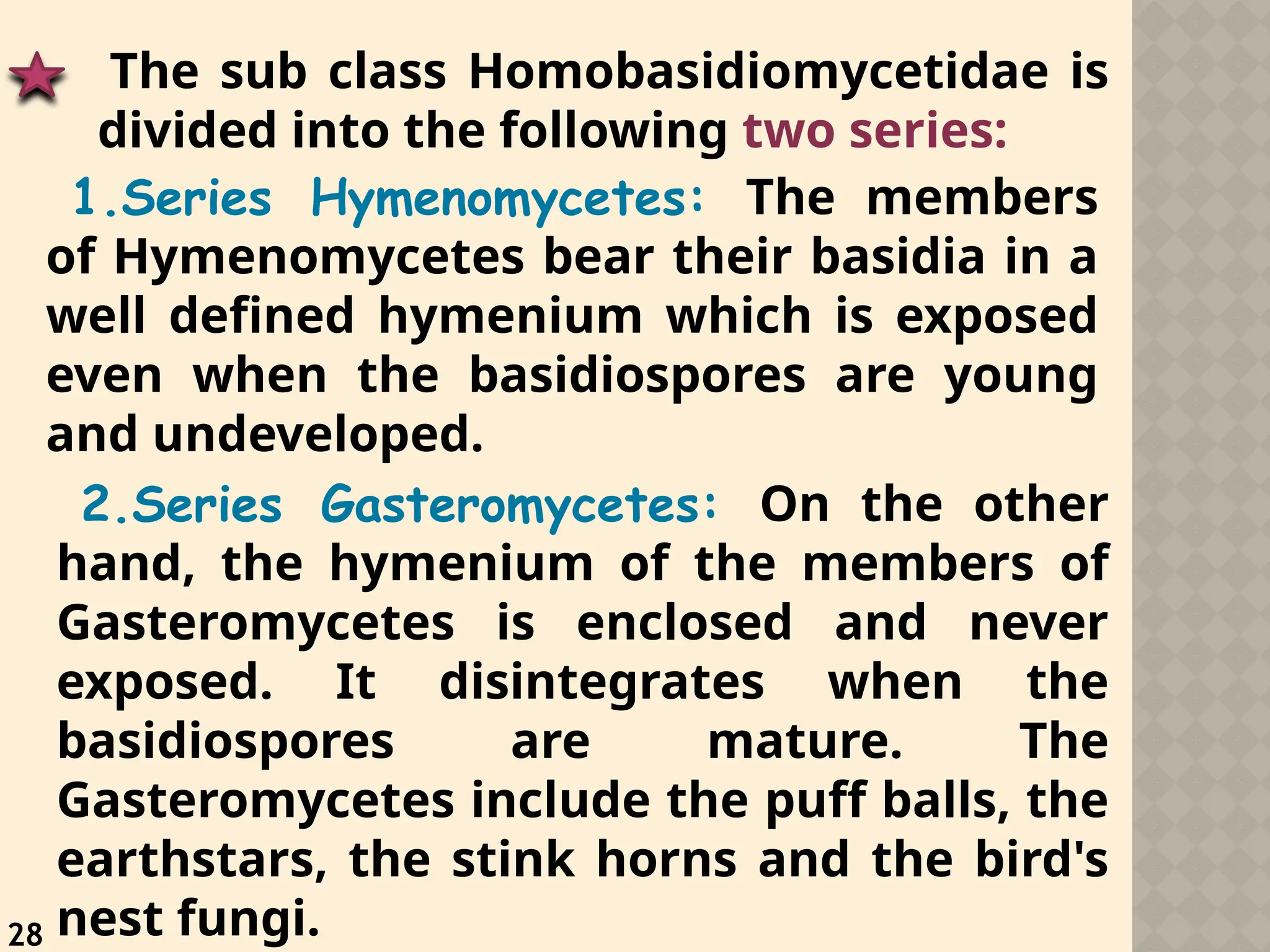 28
The sub class Homobasidiomycetidae is
divided into the following two series:
1.Series Hymenomycetes: The members
of Hymenomycetes bear their basidia in a
well defined hymenium which is exposed
even when the basidiospores are young
and undeveloped.
2.Series Gasteromycetes: On the other
hand, the hymenium of the members of
Gasteromycetes is enclosed and never
exposed. It disintegrates when the
basidiospores are mature. The
Gasteromycetes include the puff balls, the
earthstars, the stink horns and the bird's
nest fungi.
 