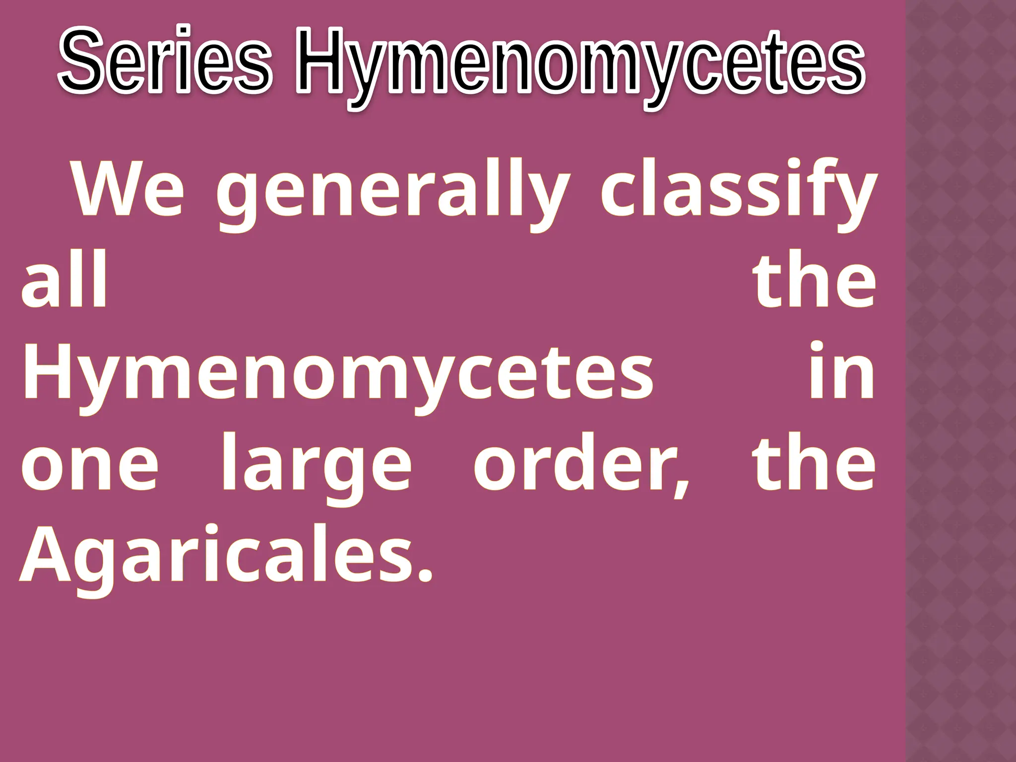 We generally classify
all the
Hymenomycetes in
one large order, the
Agaricales.
 