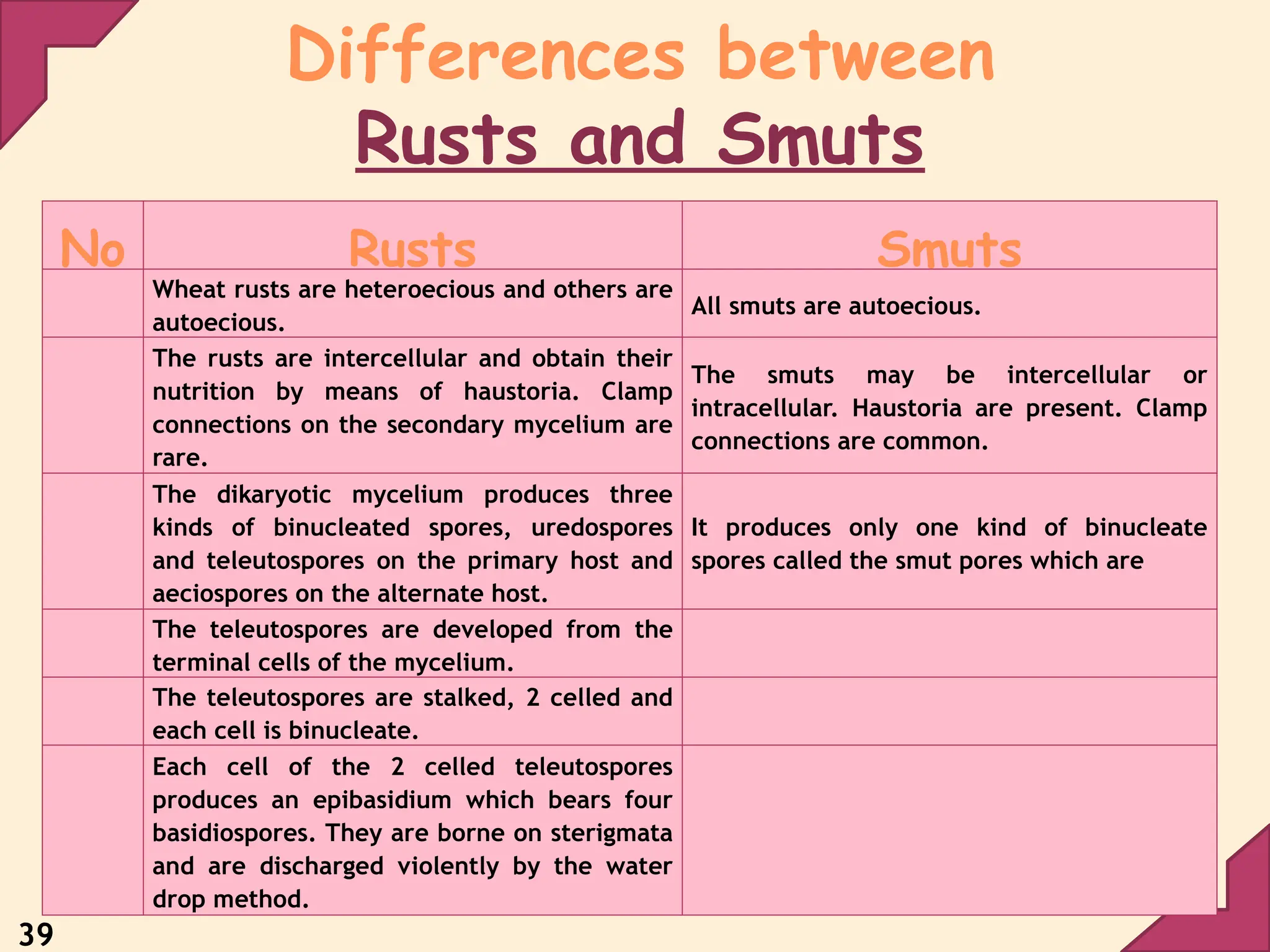39
Differences between
Rusts and Smuts
No Rusts Smuts
Wheat rusts are heteroecious and others are
autoecious.
All smuts are autoecious.
The rusts are intercellular and obtain their
nutrition by means of haustoria. Clamp
connections on the secondary mycelium are
rare.
The smuts may be intercellular or
intracellular. Haustoria are present. Clamp
connections are common.
The dikaryotic mycelium produces three
kinds of binucleated spores, uredospores
and teleutospores on the primary host and
aeciospores on the alternate host.
It produces only one kind of binucleate
spores called the smut pores which are
The teleutospores are developed from the
terminal cells of the mycelium.
The teleutospores are stalked, 2 celled and
each cell is binucleate.
Each cell of the 2 celled teleutospores
produces an epibasidium which bears four
basidiospores. They are borne on sterigmata
and are discharged violently by the water
drop method.
 