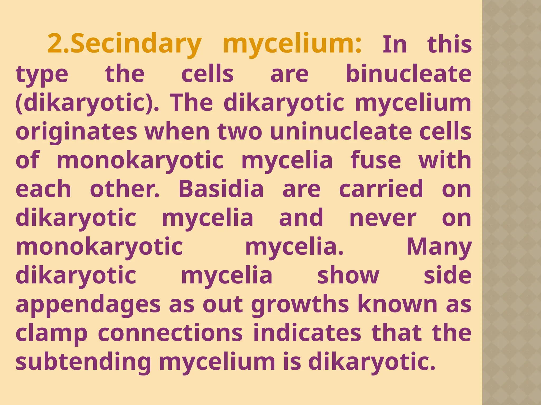 2.Secindary mycelium: In this
type the cells are binucleate
(dikaryotic). The dikaryotic mycelium
originates when two uninucleate cells
of monokaryotic mycelia fuse with
each other. Basidia are carried on
dikaryotic mycelia and never on
monokaryotic mycelia. Many
dikaryotic mycelia show side
appendages as out growths known as
clamp connections indicates that the
subtending mycelium is dikaryotic.
 