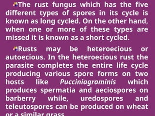 Rust Parasites Eumycomta true fungi . | PPTX