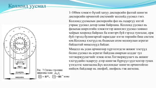 Коллоид уусмал
1-100нм хэмжээ бүхий хатуу дисперсийн фазтай шингэн
дисперсийн орчинтой системийг коллойд уусмал гэнэ.
Коллоид уусмалын дисперсийн фаз нь гадаргуу ихтэй
учраас уусмал дотор хөвж байрлана. Коллоид уусмал нь
фазыхаа ширхэгийн хэмжээгээр жинхэнэ уусмал хөвмөл
хоёрын хооронд байрлах ба нэвтэрч буй гэрэлд тунгалаг, орж
буй гэрэлд булингартай харагддаг нэгэн төрлийн биш систем
юм.Коллоид хэсгүүд нь бодисын атом молекулын агрегат
байдалтай мицеллүүд байдаг.
Мицелл нь усан орчингоор хүрээлэгдсэн жижиг хэсгүүд
болно.уусмал нь агрегат байдлаа амархан алддаг тул
тогтворжуулагчийг нэмж өгнө.Тогтворжуулагч нь жижиг
хэсгүүдийн гадаргуу дээр шингэж бүрхүүл үүсгэснээр тунах
үзэгдлээс хамгаална.Бүх коллоидыг шингэн орчинтойгоо
нийцэх байдлаар нь лиофоб, лиофиль гэж ангилна.
 