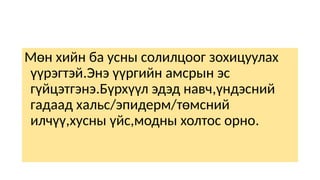 Мөн хийн ба усны солилцоог зохицуулах
үүрэгтэй.Энэ үүргийн амсрын эс
гүйцэтгэнэ.Бүрхүүл эдэд навч,үндэсний
гадаад хальс/эпидерм/төмсний
илчүү,хусны үйс,модны холтос орно.
 