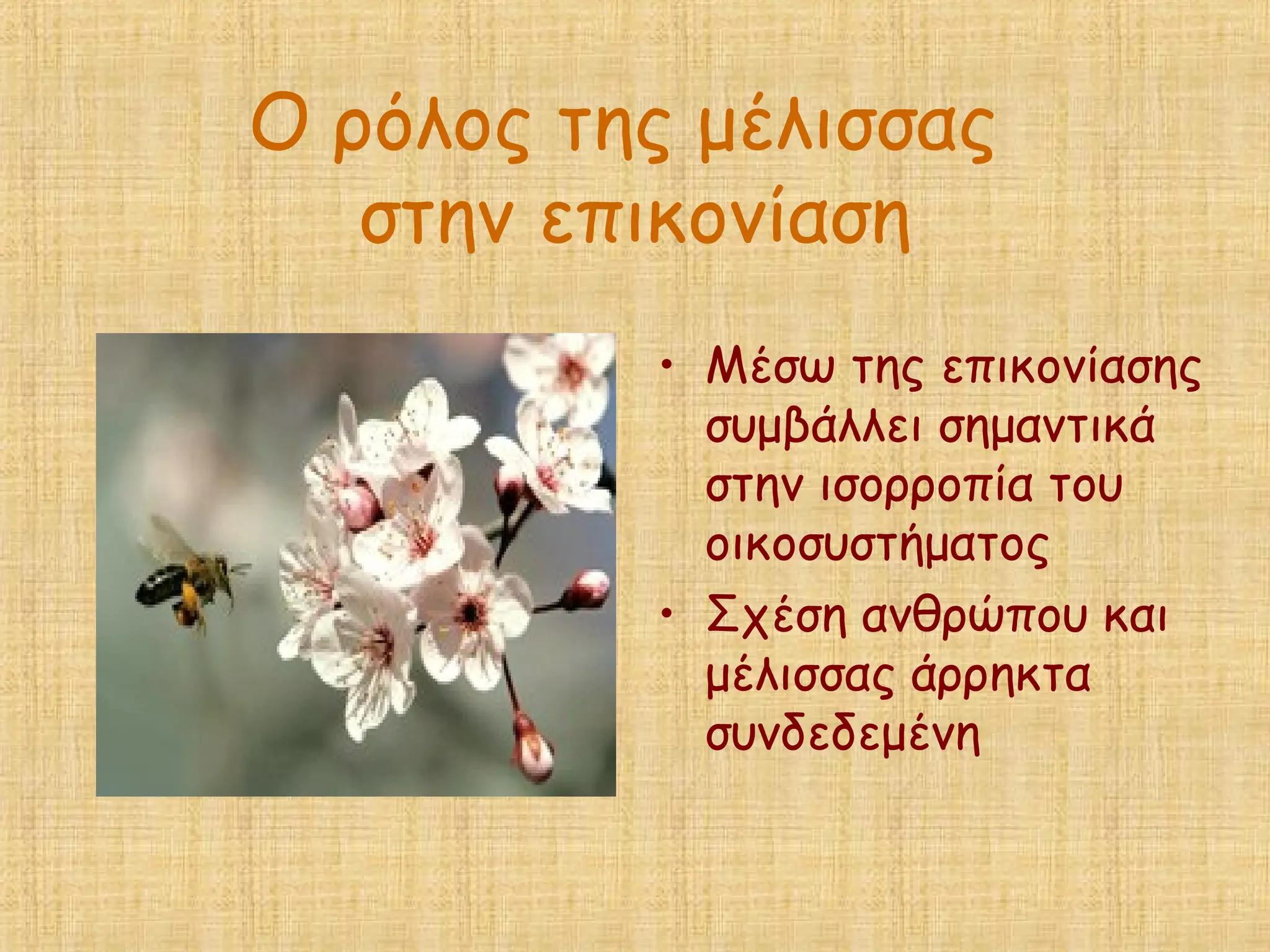 Ο ρόλος της μέλισσας
στην επικονίαση
• Μέσω της επικονίασης
συμβάλλει σημαντικά
στην ισορροπία του
οικοσυστήματος
• Σχέση ανθρώπου και
μέλισσας άρρηκτα
συνδεδεμένη
 