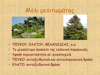 Μέλι μελιτωμάτος
• ΠΕΥΚΟΥ, ΕΛΑΤΟΥ, ΒΕΛΑΝΙΔΙΑΣ, κ.α.
• Το μεγαλύτερο ποσοστό της ελληνική παραγωγής
• Υψηλή περιεκτικότητα σε ιχνοστοιχεία
• ΠΕΥΚΟ: αντιοξειδωτική και αντιοιστρογονική δράση
• ΕΛΑΤΟ: αντιοξειδωτική δράση
 