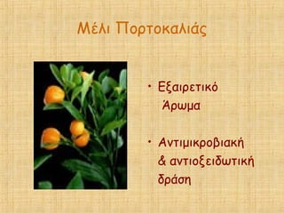 Μέλι Πορτοκαλιάς
• Εξαιρετικό
Άρωμα
• Αντιμικροβιακή
& αντιοξειδωτική
δράση
 