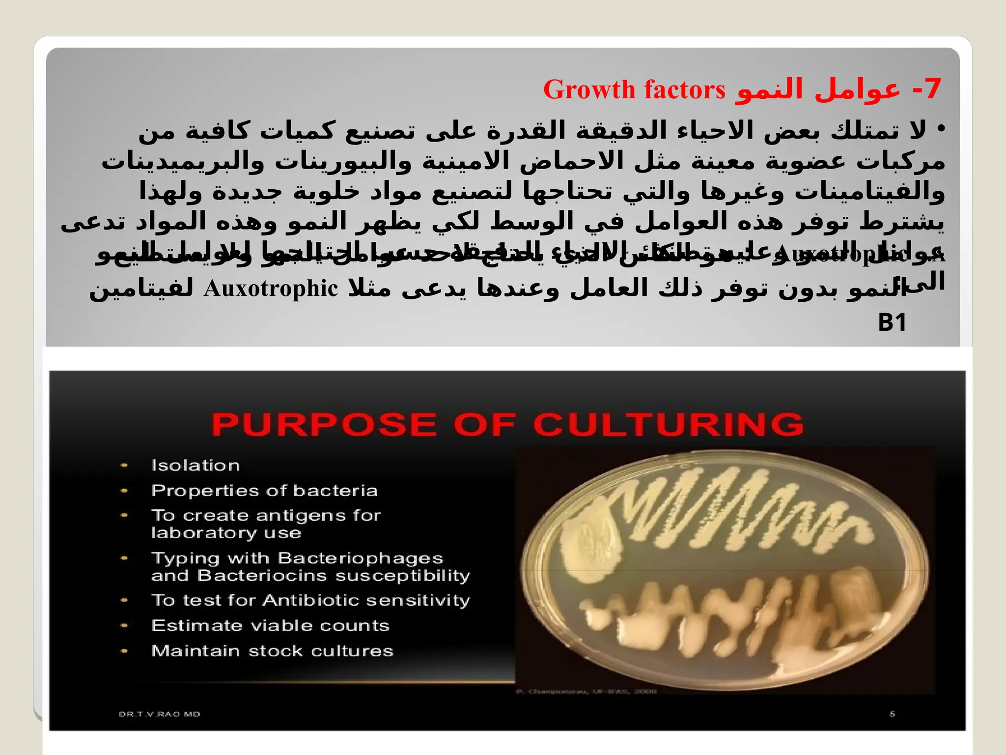 7
‫النمو‬ ‫عوامل‬ -
Growth factors
•
‫من‬ ‫كافية‬ ‫كميات‬ ‫تصنيع‬ ‫على‬ ‫القدرة‬ ‫الدقيقة‬ ‫االحياء‬ ‫بعض‬ ‫تمتلك‬ ‫ال‬
‫والبريميدينات‬ ‫والبيورينات‬ ‫االمينية‬ ‫االحماض‬ ‫مثل‬ ‫معينة‬ ‫عضوية‬ ‫مركبات‬
‫ولهذا‬ ‫جديدة‬ ‫خلوية‬ ‫مواد‬ ‫لتصنيع‬ ‫تحتاجها‬ ‫والتي‬ ‫وغيرها‬ ‫والفيتامينات‬
‫تدعى‬ ‫المواد‬ ‫وهذه‬ ‫النمو‬ ‫يظهر‬ ‫لكي‬ ‫الوسط‬ ‫في‬ ‫العوامل‬ ‫هذه‬ ‫توفر‬ ‫يشترط‬
‫النمو‬ ‫لعوامل‬ ‫احتياجها‬ ‫حسب‬ ‫الدقيقة‬ ‫االحياء‬ ‫تصنف‬ ‫وعليه‬ ‫النمو‬ ‫عوامل‬
:‫الى‬
.A
Auxotrophic
‫يستطيع‬ ‫وال‬ ‫النمو‬ ‫عوامل‬ ‫الحد‬ ‫يحتاج‬ ‫الذي‬ ‫الكائن‬ ‫هو‬ :
‫مثال‬ ‫يدعى‬ ‫وعندها‬ ‫العامل‬ ‫ذلك‬ ‫توفر‬ ‫بدون‬ ‫النمو‬
Auxotrophic
‫لفيتامين‬
B1
.B
Prototrophic
‫ل‬C
‫م‬‫عوا‬ ‫ر‬C
‫ف‬‫تو‬ ‫عدم‬ ‫د‬C
‫ن‬‫ع‬ ‫ى‬C
‫ت‬‫ح‬ ‫و‬C
‫م‬‫الن‬ ‫تطيع‬C
‫س‬‫ي‬ ‫الذي‬ ‫ن‬C
‫ئ‬‫الكا‬ ‫و‬C
‫ه‬ :
.‫النمو‬
 