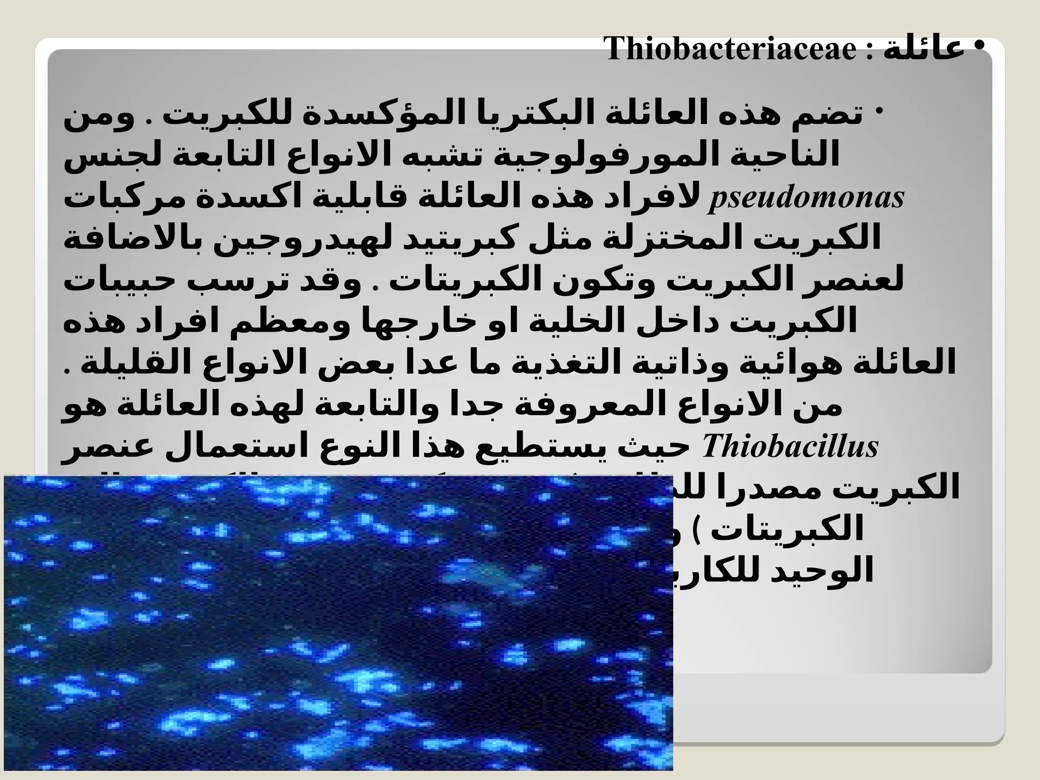 •
: ‫عائلة‬
Thiobacteriaceae
•
.
‫ومن‬ ‫للكبريت‬ ‫المؤكسدة‬ ‫البكتريا‬ ‫العائلة‬ ‫هذه‬ ‫تضم‬
‫لجنس‬ ‫التابعة‬ ‫االنواع‬ ‫تشبه‬ ‫المورفولوجية‬ ‫الناحية‬
pseudomonas
‫مركبات‬ ‫اكسدة‬ ‫قابلية‬ ‫العائلة‬ ‫هذه‬ ‫الفراد‬
‫باالضافة‬ ‫لهيدروجين‬ ‫كبريتيد‬ ‫مثل‬ ‫المختزلة‬ ‫الكبريت‬
.
‫حبيبات‬ ‫ترسب‬ ‫وقد‬ ‫الكبريتات‬ ‫وتكون‬ ‫الكبريت‬ ‫لعنصر‬
‫هذه‬ ‫افراد‬ ‫ومعظم‬ ‫خارجها‬ ‫او‬ ‫الخلية‬ ‫داخل‬ ‫الكبريت‬
. ‫القليلة‬ ‫االنواع‬ ‫بعض‬ ‫عدا‬ ‫ما‬ ‫التغذية‬ ‫وذاتية‬ ‫هوائية‬ ‫العائلة‬
‫هو‬ ‫العائلة‬ ‫لهذه‬ ‫والتابعة‬ ‫جدا‬ ‫المعروفة‬ ‫االنواع‬ ‫من‬
Thiobacillus
‫عنصر‬ ‫استعمال‬ ‫النوع‬ ‫هذا‬ ‫يستطيع‬ ‫حيث‬
(
‫الى‬ ‫الكبريت‬ ‫عنصر‬ ‫يؤكسد‬ ‫حيث‬ ‫للطاقة‬ ‫مصدرا‬ ‫الكبريت‬
)
‫المصدر‬ ‫هو‬ ‫الكاربون‬ ‫اوكسيد‬ ‫ثاني‬ ‫ويعد‬ ‫الكبريتات‬
.
‫في‬ ‫النمو‬ ‫من‬ ‫النوع‬ ‫هذا‬ ‫ويستطيع‬ ‫للكاربون‬ ‫الوحيد‬
‫جدا‬ ‫عالية‬ ‫حموضة‬ ‫ذي‬ ‫وسط‬
 