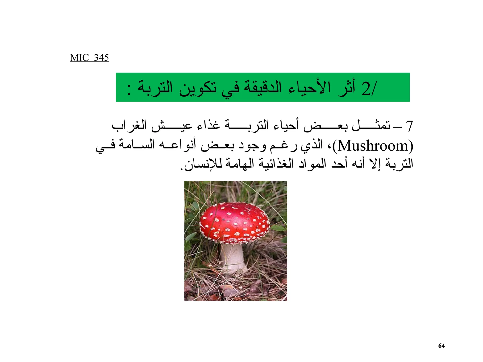 MIC 345
64
/
2
: ‫التربة‬ ‫تكوين‬ ‫في‬ ‫الدقيقة‬ ‫األحياء‬ ‫أثر‬
7
‫الغراب‬ ‫ش‬ ‫عي‬ ‫غذاء‬ ‫ة‬ ‫الترب‬ ‫أحياء‬ ‫ض‬ ‫بع‬ ‫ل‬ ‫تمث‬ –
(
Mushroom
)
‫ي‬ ‫ف‬ ‫امة‬ ‫الس‬ ‫ه‬ ‫أنواع‬ ‫ض‬ ‫بع‬ ‫وجود‬ ‫م‬ ‫رغ‬ ‫الذي‬ ،
.‫لإلنسان‬ ‫الهامة‬ ‫الغذائية‬ ‫المواد‬ ‫أحد‬ ‫أنه‬ ‫إال‬ ‫التربة‬
 