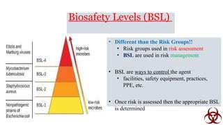 د.نور شهاب.pptx biosafety manual in medical laboratory | PPTX