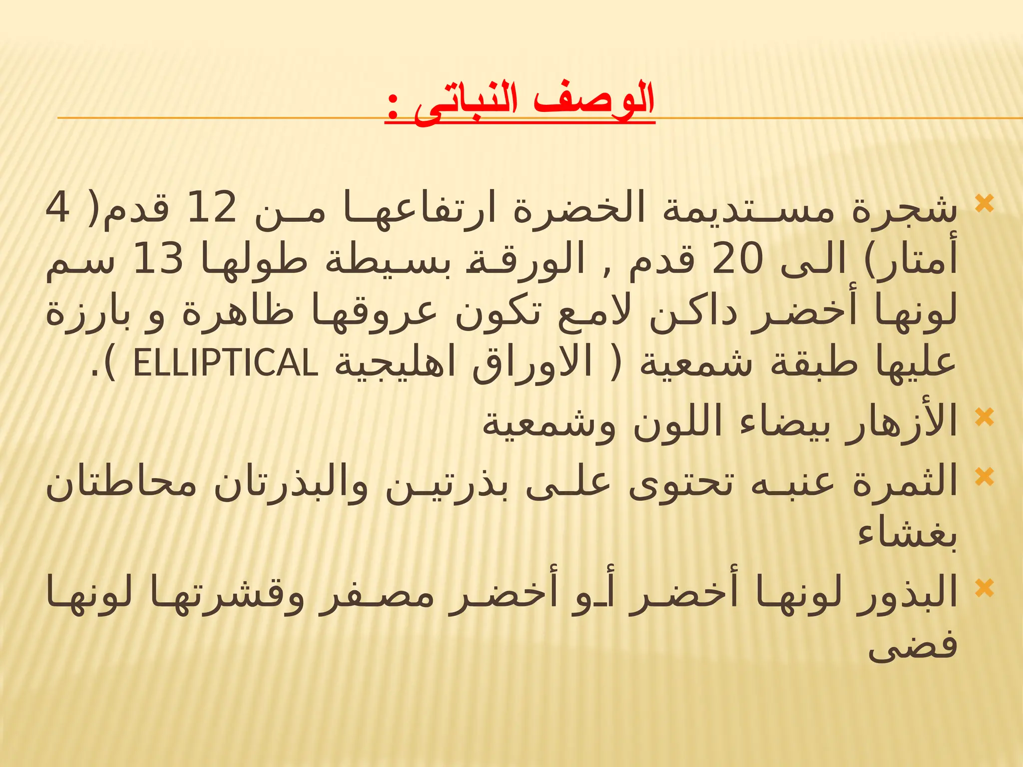 : ‫النباتى‬ ‫الوصف‬

‫م!!ن‬ ‫ارتفاعه!!ا‬ ‫الخضرة‬ ‫مس!!تديمة‬ ‫شجرة‬
12
(‫قدم‬
4
‫ال!ى‬ )‫أمتار‬
20
‫طوله!ا‬ ‫بس!يطة‬ !
‫ة‬!‫الورق‬ , ‫قدم‬
13
‫س!م‬
‫بارزة‬ ‫و‬ ‫ظاهرة‬ ‫عروقه!ا‬ ‫تكون‬ ‫الم!ع‬ ‫داك!ن‬ ‫أخض!ر‬ ‫لونه!ا‬
‫اهليجية‬ ‫االوراق‬ ( ‫شمعية‬ ‫طبقة‬ ‫عليها‬
ELLIPTICAL
.)

‫وشمعية‬ ‫اللون‬ ‫بيضاء‬ ‫األزهار‬

‫محاطتان‬ ‫والبذرتان‬ ‫!ن‬
!‫بذرتي‬ ‫!ى‬
!‫عل‬ ‫تحتوى‬ ‫!ه‬
!‫عنب‬ ‫الثمرة‬
‫بغشاء‬

‫لونه!ا‬ ‫وقشرته!ا‬ ‫مص!فر‬ ‫أخض!ر‬ ‫أ!و‬ ‫أخض!ر‬ ‫لونه!ا‬ ‫البذور‬
‫فضى‬
 
