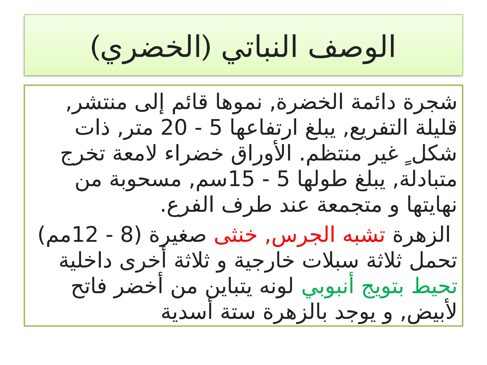 (
‫الخضري‬ ‫النباتي‬ ‫الوصف‬
)
‫نم‬ ,‫الخضرة‬ ‫دائمة‬ ‫شجرة‬
‫و‬
,‫منتشر‬ ‫إلى‬ ‫قائم‬ ‫ها‬
‫ارتفاعها‬ ‫يبلغ‬ ,‫التفريع‬ ‫قليلة‬
5
-
20
‫ذات‬ ,‫متر‬
‫تخرج‬ ‫المعة‬ ‫خضراء‬ ‫األوراق‬ .‫منتظم‬ ‫غير‬  ٍ‫شكل‬
‫طولها‬ ‫يبلغ‬ ,‫متبادلة‬
5
-
15
‫من‬ ‫مسحوبة‬ ,‫سم‬
.‫الفرع‬ ‫طرف‬ ‫عند‬ ‫متجمعة‬ ‫و‬ ‫نهايتها‬
‫الزهرة‬
‫خنثى‬ ,‫الجرس‬ ‫تشبه‬
( ‫صغيرة‬
8
-
12
)‫مم‬
‫داخلية‬ ‫أخرى‬ ‫ثالثة‬ ‫و‬ ‫خارجية‬ ‫سبالت‬ ‫ثالثة‬ ‫تحمل‬
‫أنبوبي‬ ‫بتويج‬ ‫تحيط‬
‫فاتح‬ ‫أخضر‬ ‫من‬ ‫يتباين‬ ‫لونه‬
‫أسدية‬ ‫ستة‬ ‫بالزهرة‬ ‫يوجد‬ ‫و‬ ,‫ألبيض‬
 